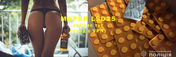 ПСИЛОЦИБИНОВЫЕ ГРИБЫ Баксан
