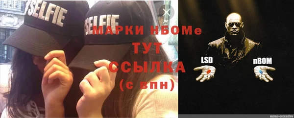 ПСИЛОЦИБИНОВЫЕ ГРИБЫ Баксан