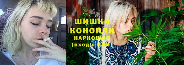 ПСИЛОЦИБИНОВЫЕ ГРИБЫ Баксан